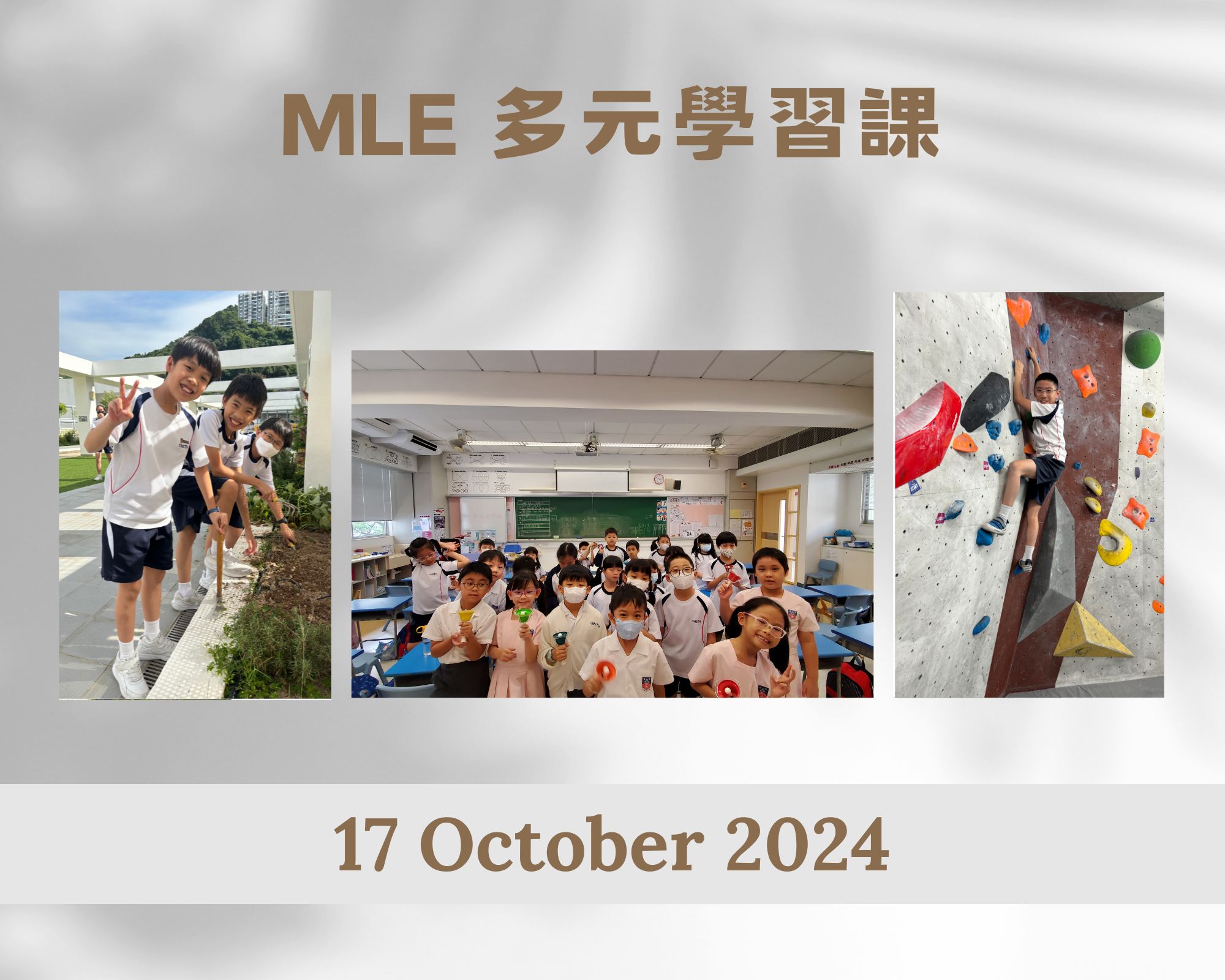 mle 多元學習課